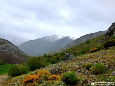 Montaña Palentina-Fuentes Carrionas; tiendas montaña madrid cañadas reales viajes a la palma tien